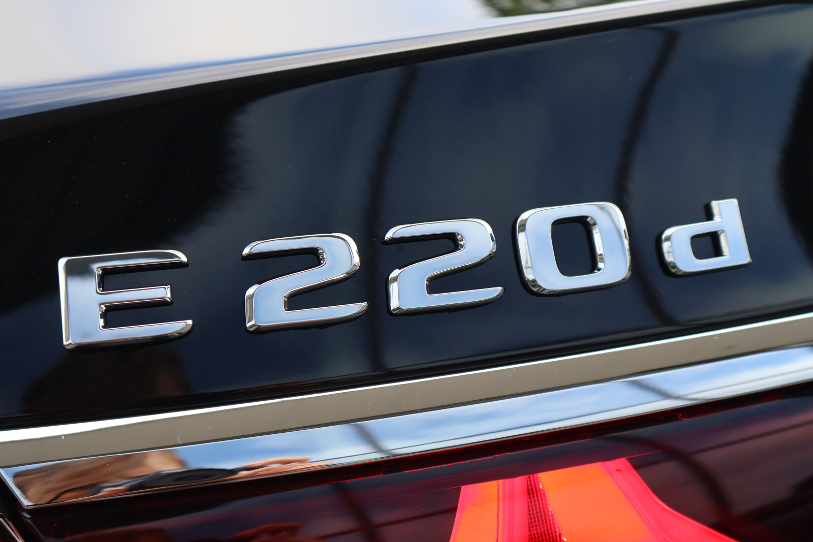 Zdjęcie 20